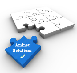 aminet solutions internet